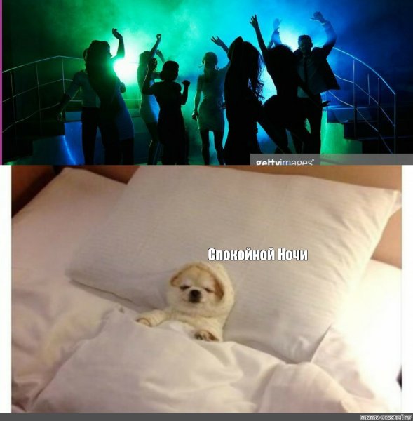 Спокойной ночи в мемах