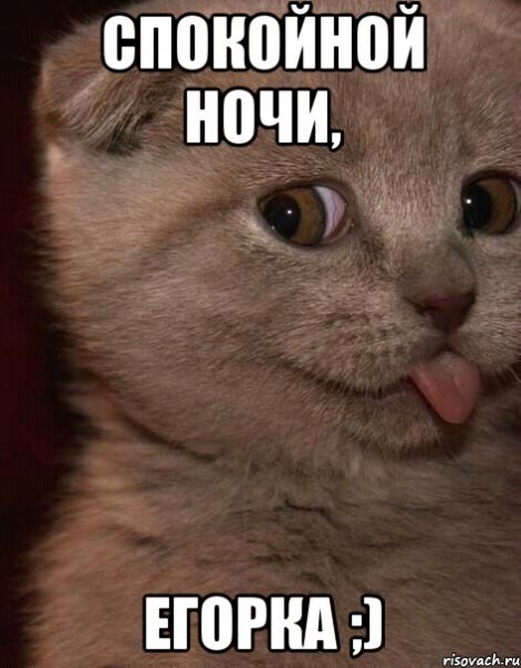 Милые мемы спокойной ночи