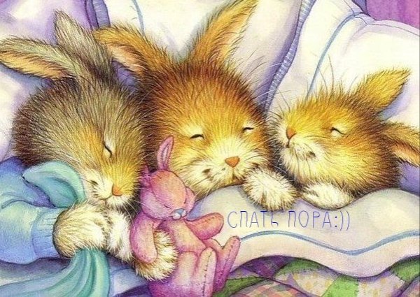 Спокойной ночи зайчик