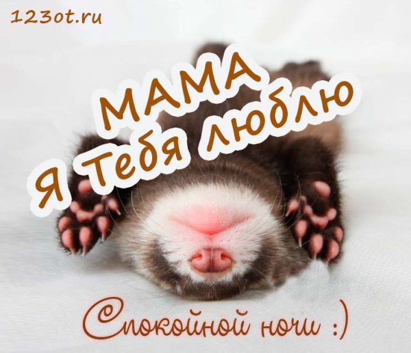 Спокойной ночи мама