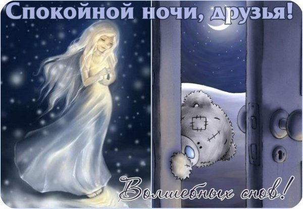 Спокойной зимней ночи друзья