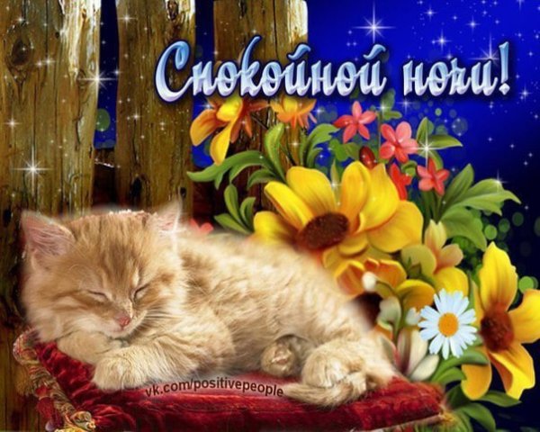 Красивые букеты с пожеланиями спокойной ночи