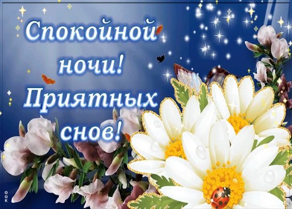 Красивые букеты с пожеланиями спокойной ночи