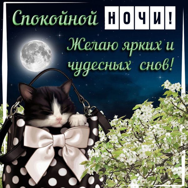 Пожелания доброй ночи