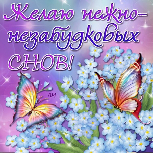 Спокойной ночи вечнние