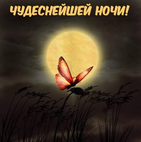 Чудесной ночи