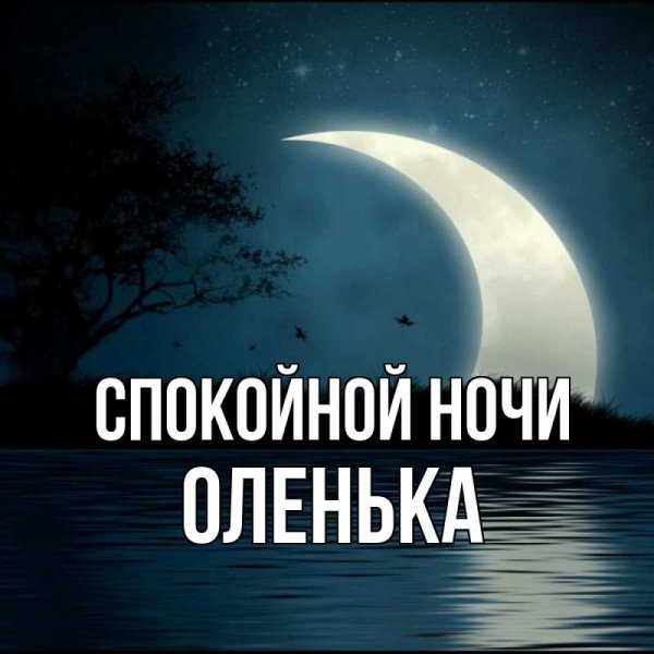 Спокойной ночи, Оля