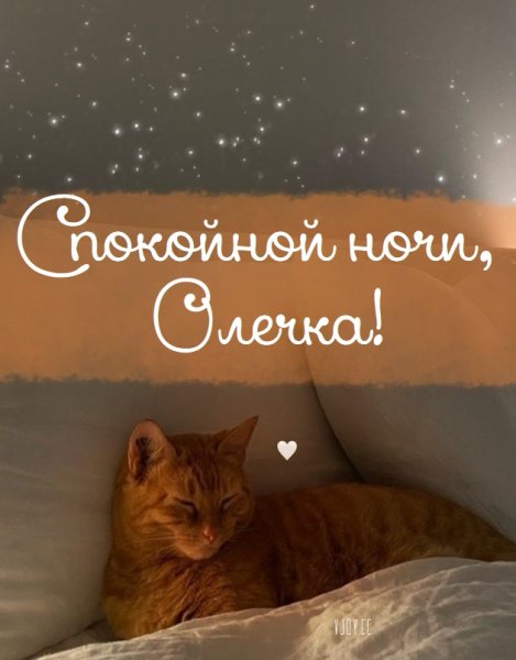 Спокойной ночи счастье моё