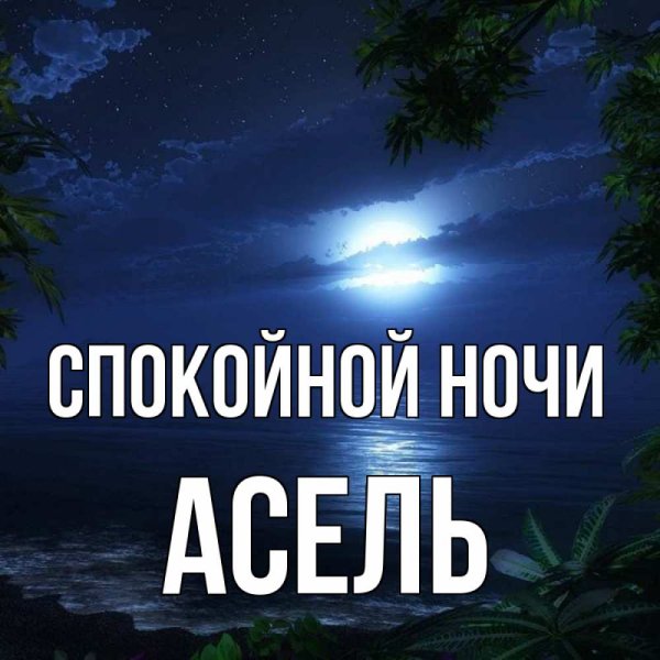 Спокойной ночи любимая Оленька