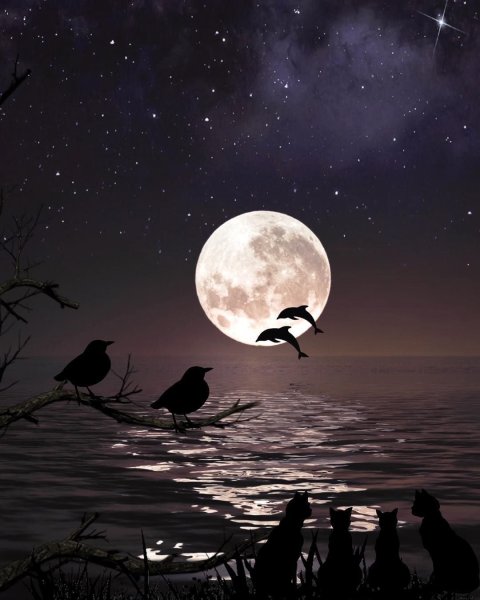 Ночной пейзаж с луной