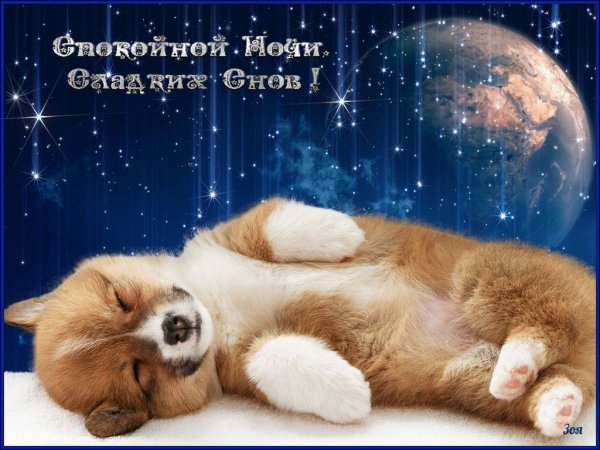 Доброй ночи сладких снов