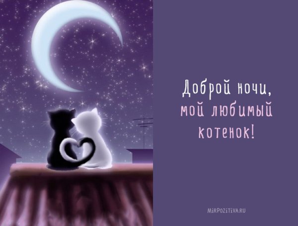 Доброй ночи любимый