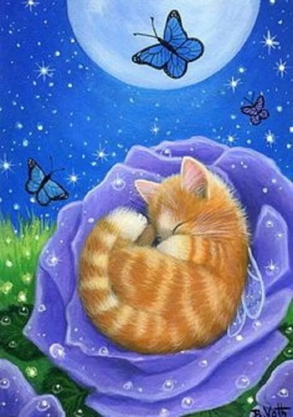 Доброй ночи котики