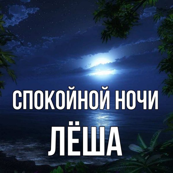 Мем спокойной ночи Лера