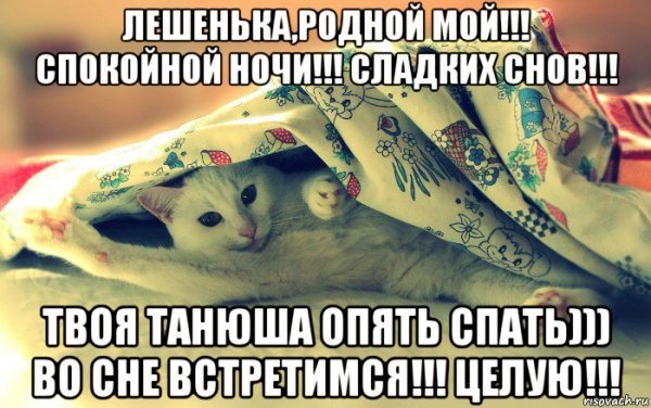 Открытки спокойной ночи Саша