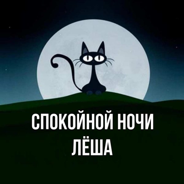 Спокойной ночи Леша