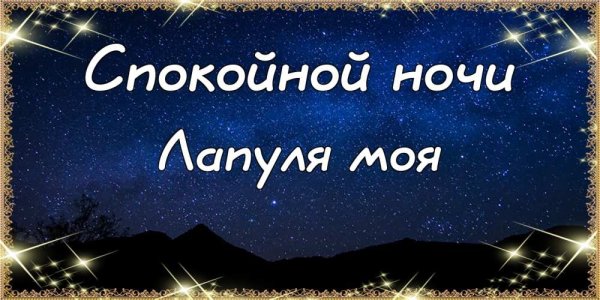 Спокойной ночи Владимир