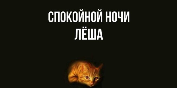 Спокойной ночи Андрей