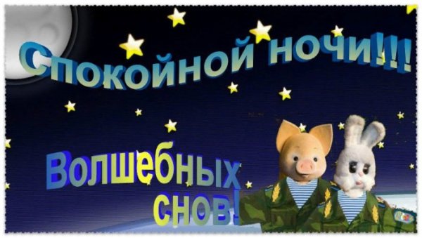 Спокойной ночи армия