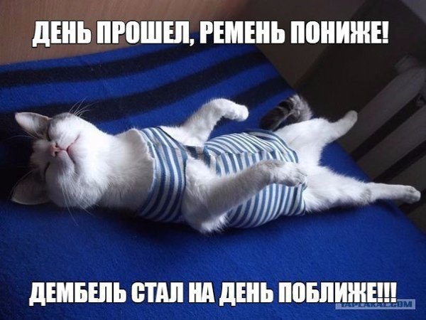 -1 День службы