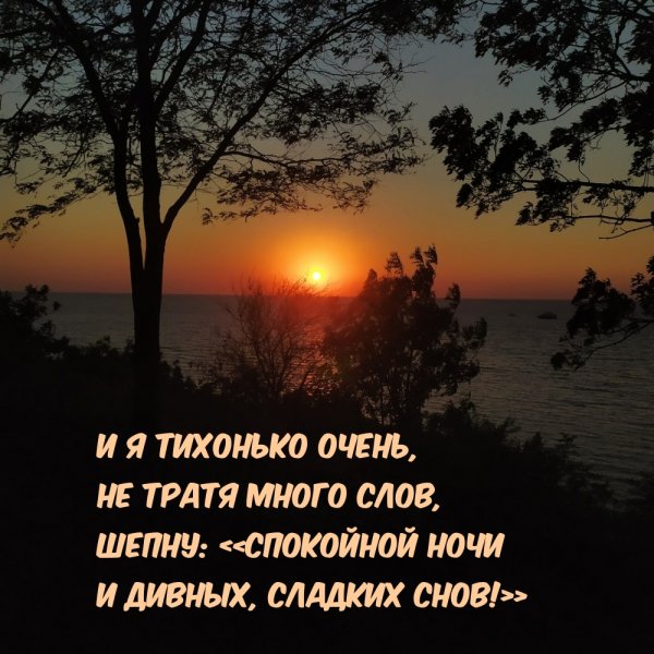 Спокойной мирной ночи