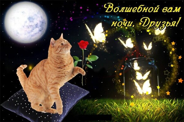 Спокойной ночи волшебных снов