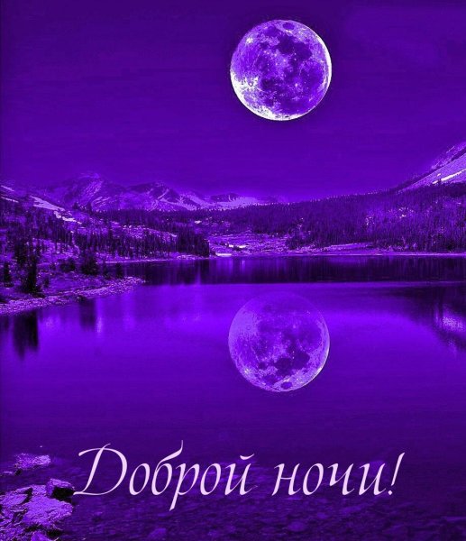 Изумительной ночи