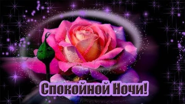 Пожелания спокойной ночи дочери взрослой