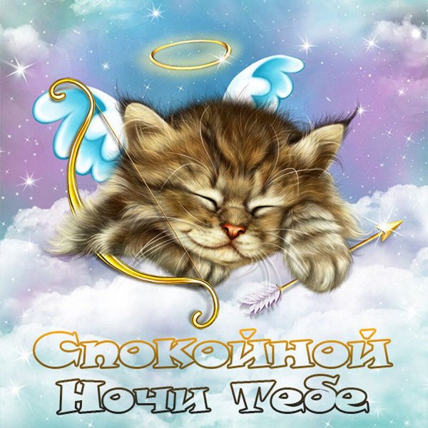 Спокойной ночи доченька