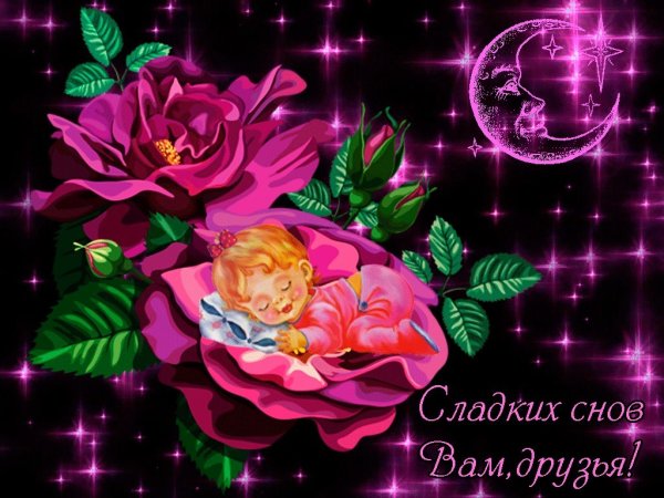 Доброй ночи сладких снов красивые картинки с цветами (35 фото)