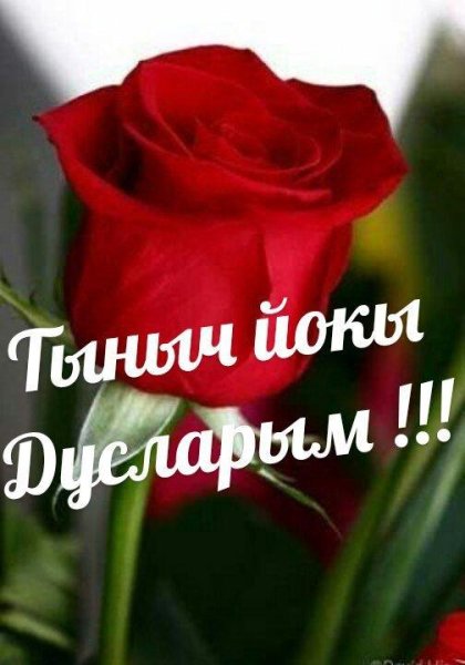 Спокойной ночи на татарском