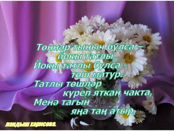 Спокойной ночи на татарском языке красивые
