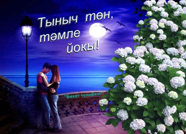 Доброй ночи сладких снов на татарском языке