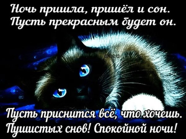 Спокойной ночи пусть тебе приснится