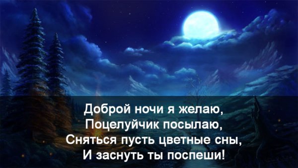 Спокойной ночи и пусть приснится