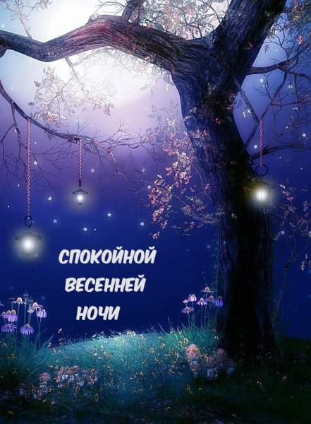 Спокойной весенней ночи