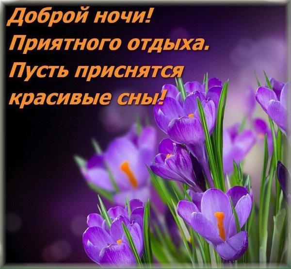 Доброй весенней ночи