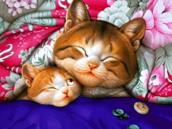 Спокойной ночи картинки с рыжим котом (48 фото)