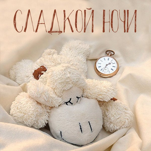 Спокойной ночи любимая