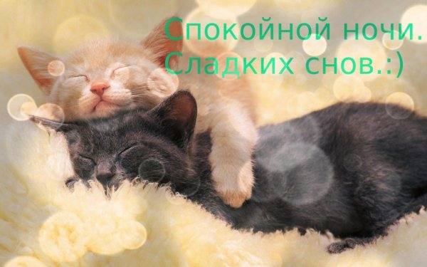 Спокойной ночи