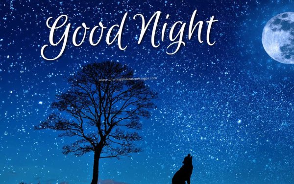 Открытки good Night