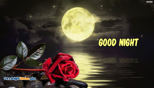 Обои good Night