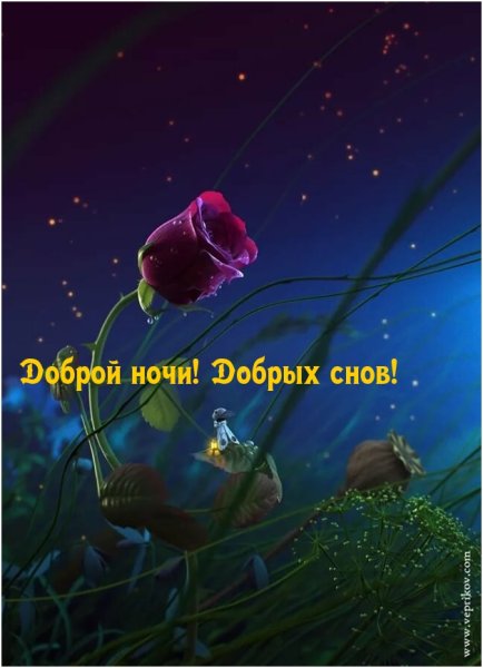 Спокойной ночи с цветами и пожеланиями