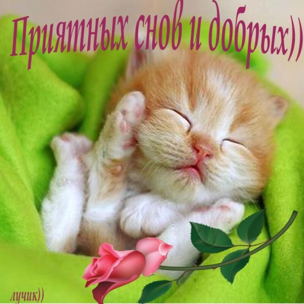 Доброй ночи сладких снов