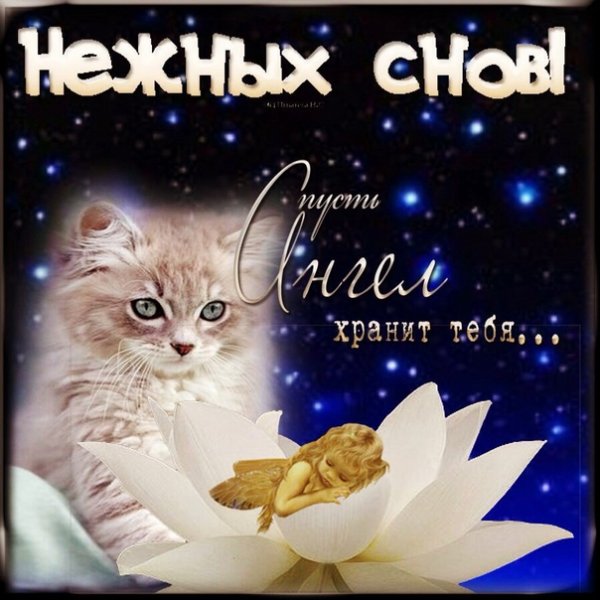 Нежный сон