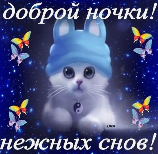 Спокойной ночи сестренка