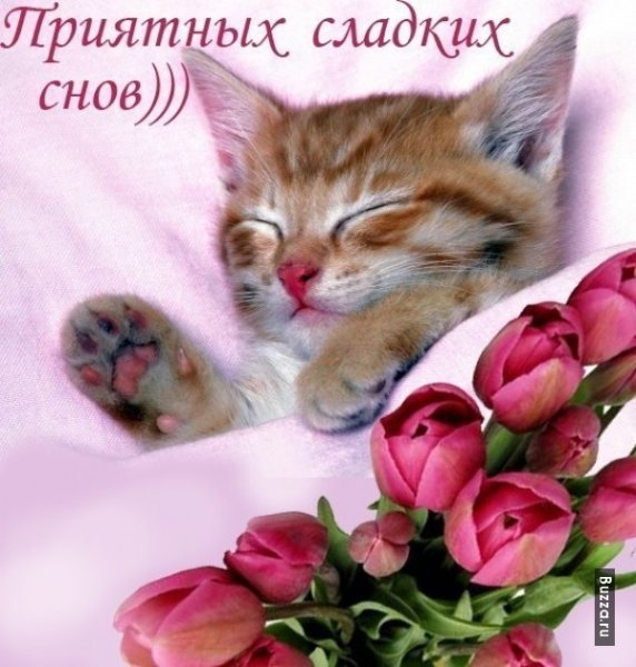 Приятных сладких снов