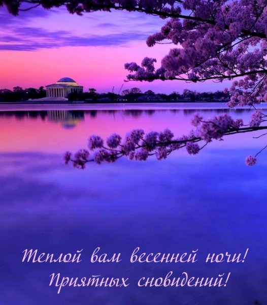 Приятной весенней ночи