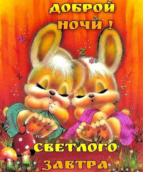 Спокойной ночи прикольные смешные