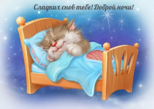 Котик спит в кроватке